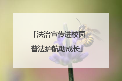法治宣传进校园 普法护航助成长